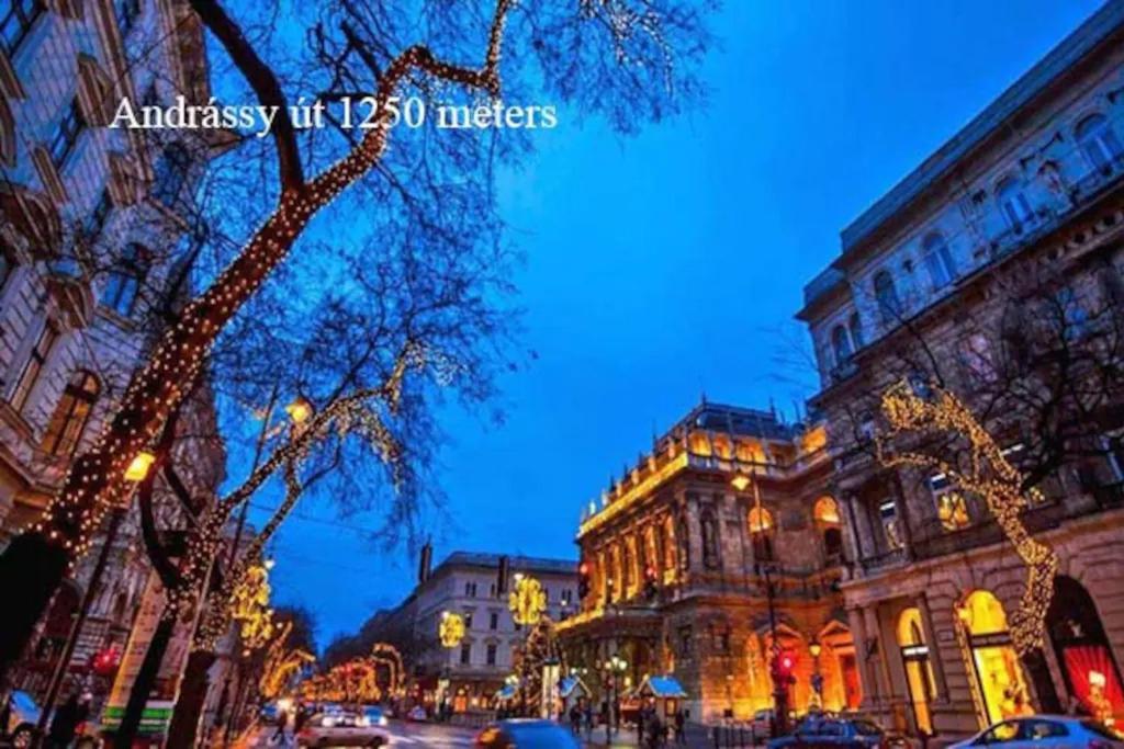 Keleti Apartment City Center Big Flat Bedroom Private Use Budapest Extérieur photo